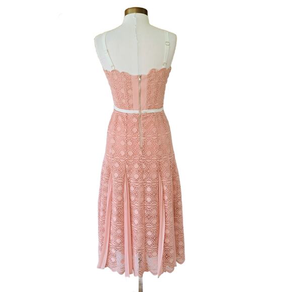 Gianni Bini Mae Pale Pink Lace Midi Dress Size 4 Chiffon Pleats - Picture 3 of 11